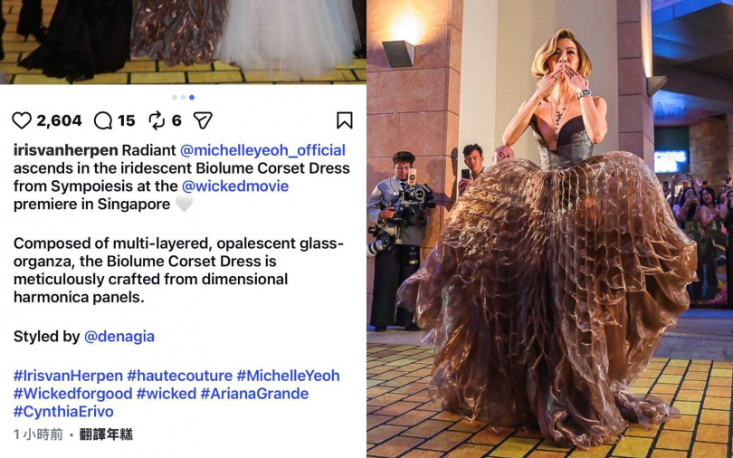 （圖／取自irisvanherpen IG）