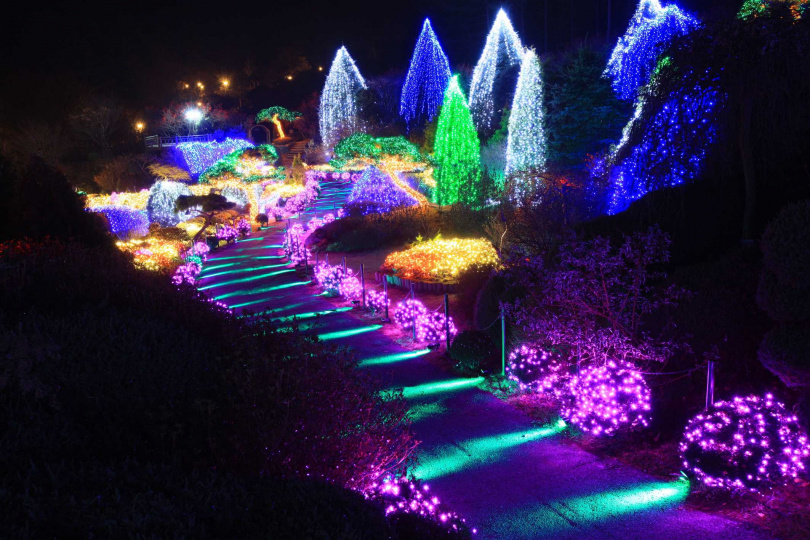 每年定期於12月至3月舉行的「晨靜樹木園五色星光庭園展」，在京畿道加平郡佔地約10萬多坪的晨靜樹木園內。