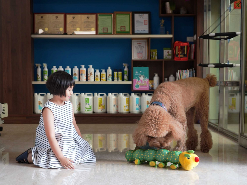 毛孩喜愛咬的玩具，容易藏污納垢且滋生細菌，對寵物及小孩都可能引發過敏症狀。