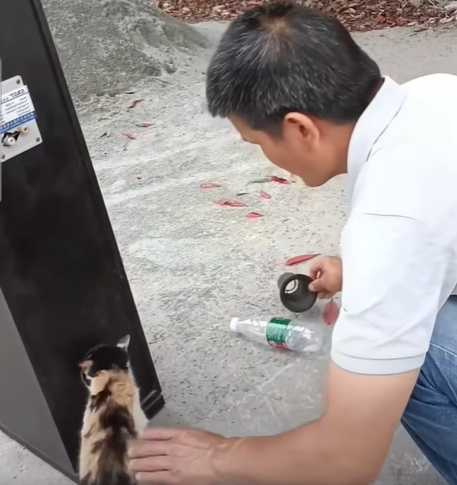 貓闖音響捉老鼠。（圖／翻攝自臉書）