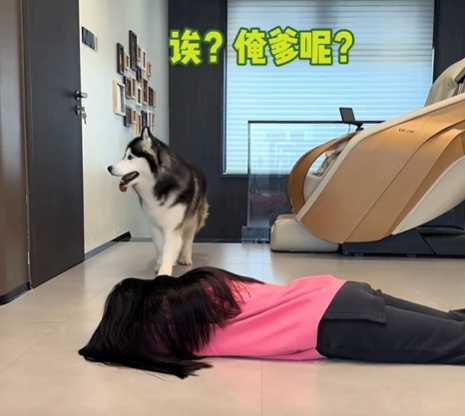 夫妻實測二哈的反應，結果令人心碎。（圖／翻攝自臉書）