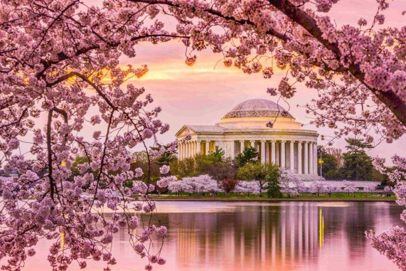 2023華盛頓櫻花節即將展開。（圖／KKday提供）