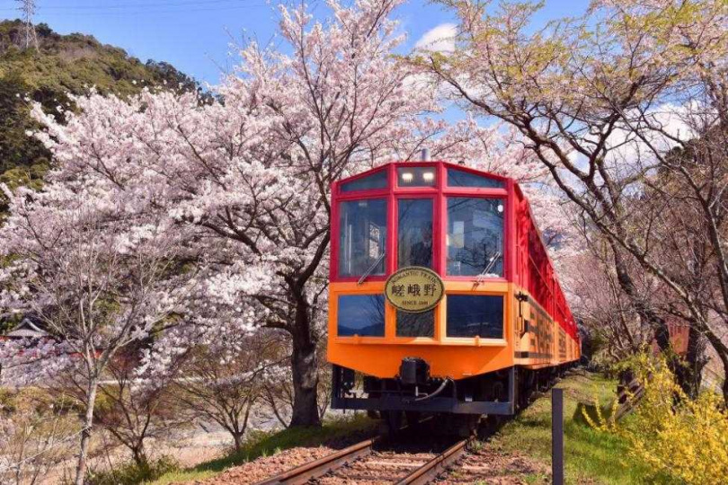 搭關西嵐山小火車體驗不同的賞櫻角度。（圖／KKday提供）