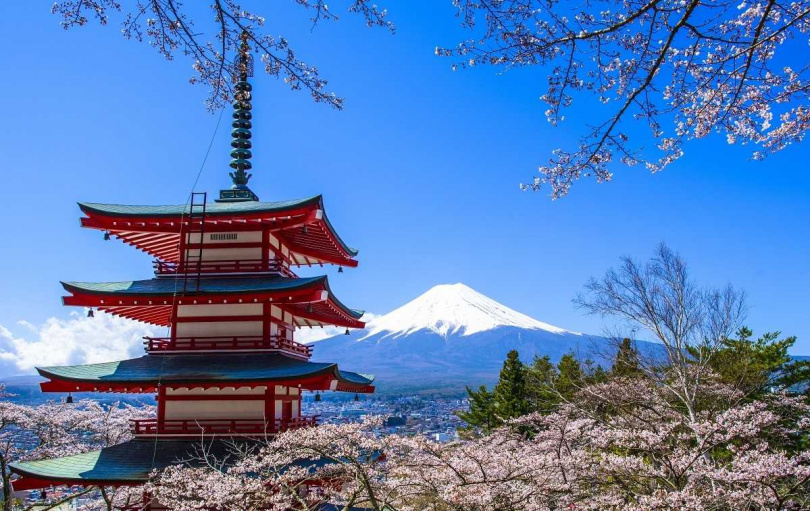 日本櫻花季代表性景點之一就是河口湖的淺間神社。（圖／雄獅旅遊提供）
