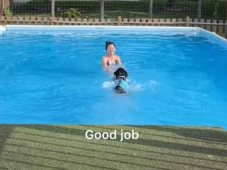 狗狗怕水,女主人一招讓牠突破心魔。(圖/翻攝自臉書)