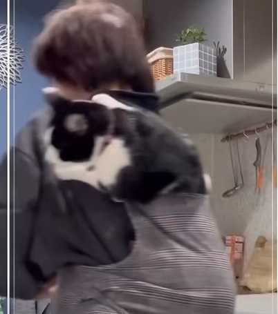 女飼主紀錄揹貓咪的過程。(圖/翻攝自臉書)