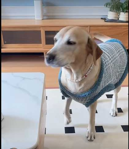 拉拉談判破局後決定翻臉。（圖／翻攝自臉書）