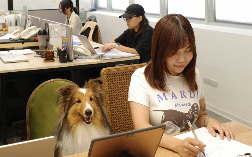 （圖／勤美集團提供）