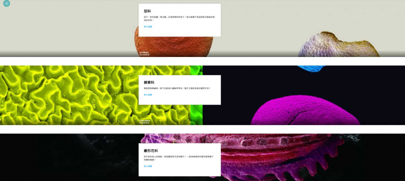 國立臺灣博物館策劃「種子美術館」線上展，以微觀角度觀看各色蔬果種子。  