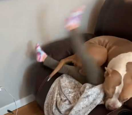 大狗狗壓在女孩身上。(圖/翻攝自臉書)