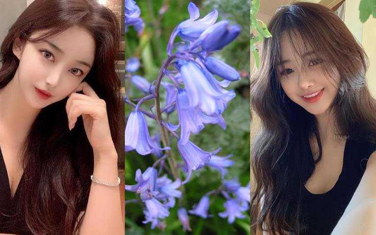   輕柔又淡雅的藍風鈴花香調，也是讓很多韓國女生愛不釋手的原因。(圖／IG@haum_style、翻攝網路)  