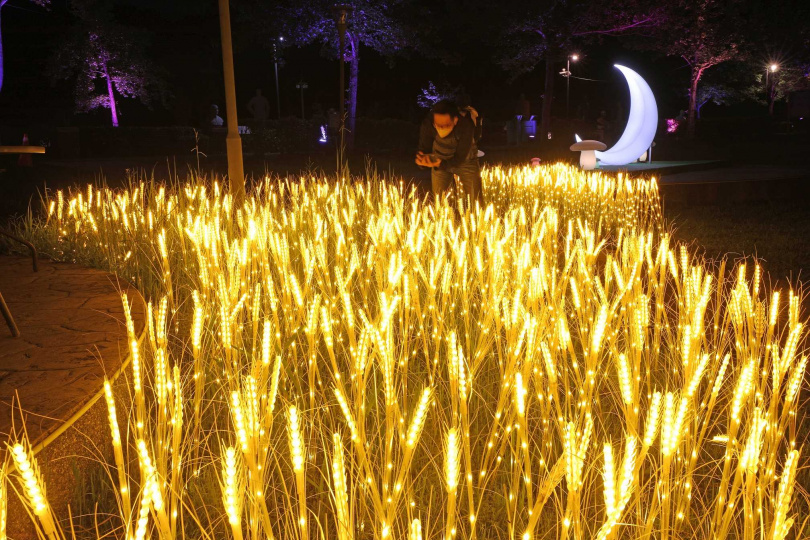 金黃稻穗燈也是特色打卡點。（圖／趙文彬攝）