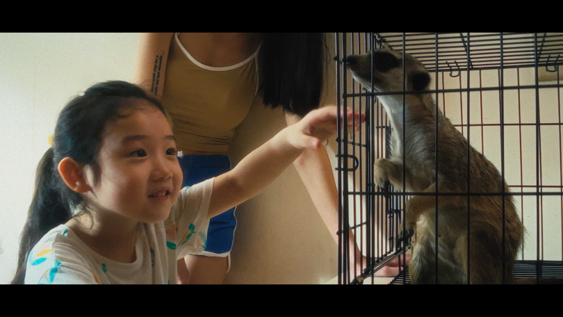 小童星葉子綺在電影中與狐獴有許多的對手戲。（圖／光年映畫提供）