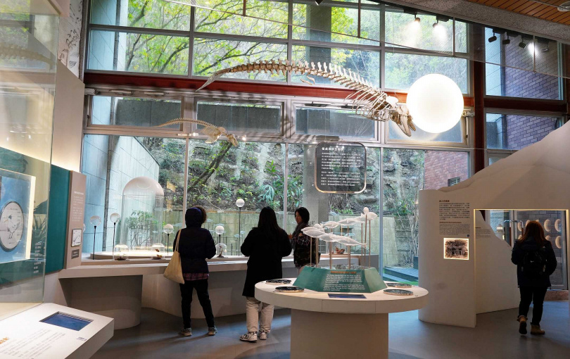 民俗文物館一樓的島嶼地誌展區可見到鯨豚骨骼標本、鳥類標本以及生態解說等。
