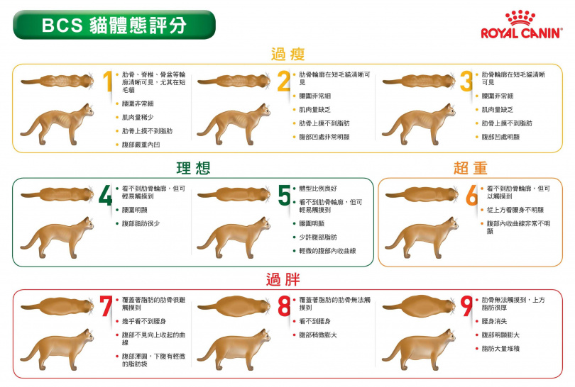 （圖／業者提供）