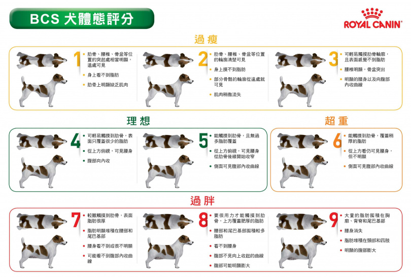 （圖／業者提供）