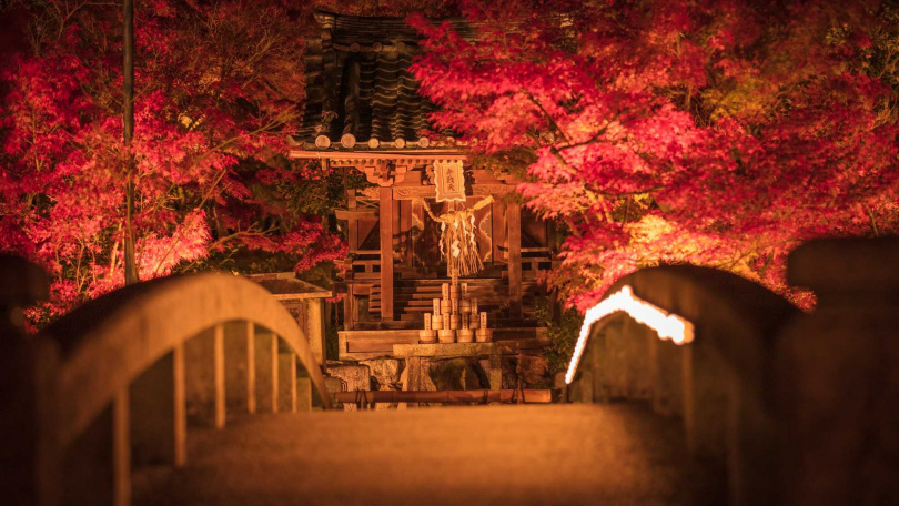 夜楓妝點京都永觀堂的迴廊式庭園，營造秋日絕景。（圖／樂天旅遊提供）