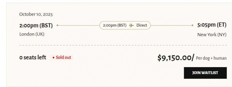 飛一趟倫敦至紐約的航班，要價9100美元。（圖／翻攝自官網）