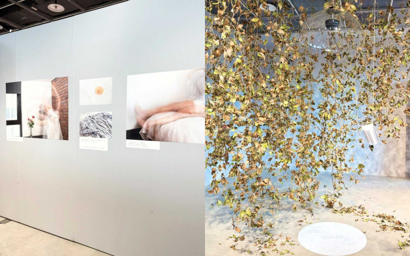 除了視覺享受的攝影、繪畫,更有特別的沉浸式聲音作品,讓妳用”聽”的了解癌友們的生命故事。(圖/吳雅鈴攝)