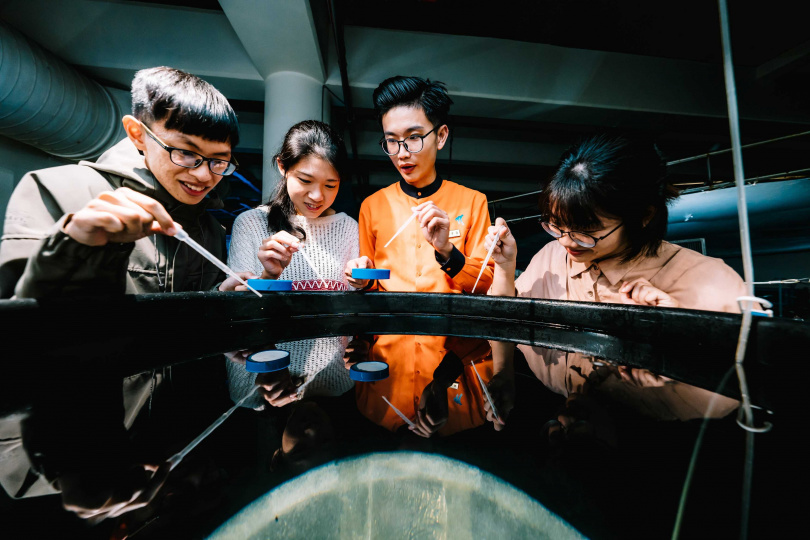 魚你同行台灣水域館後場探秘體驗飼育魚苗。