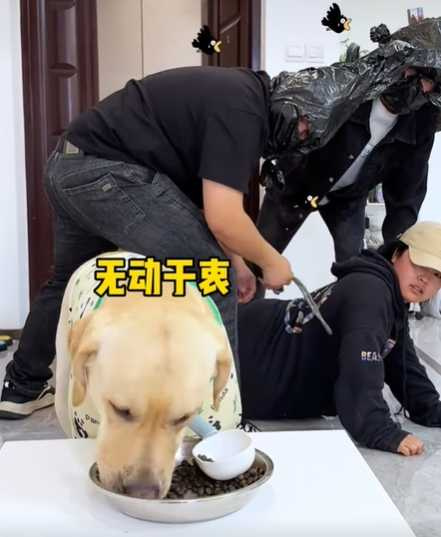 主人遇襲，拉拉幹飯。（圖／翻攝自臉書）