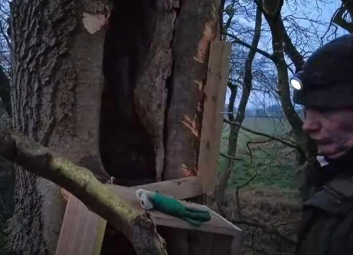 富勒為鳥築巢獲盛讚。（圖／翻攝自臉書）