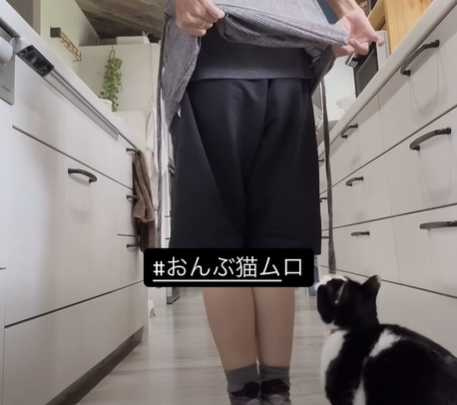 貓咪跳上主人的背。(圖/翻攝自臉書)