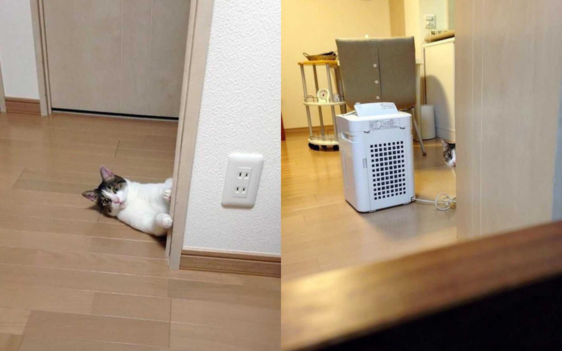 （圖／翻攝自X）
