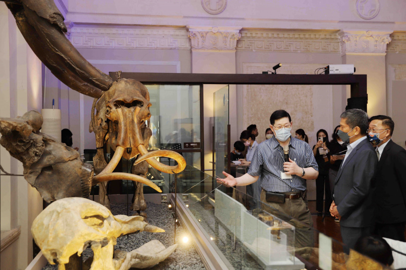 文化部長李永得（右2）在臺博館副研究員林俊聰（左1）導覽下參觀國立臺灣博物館古生物館「象」展區。