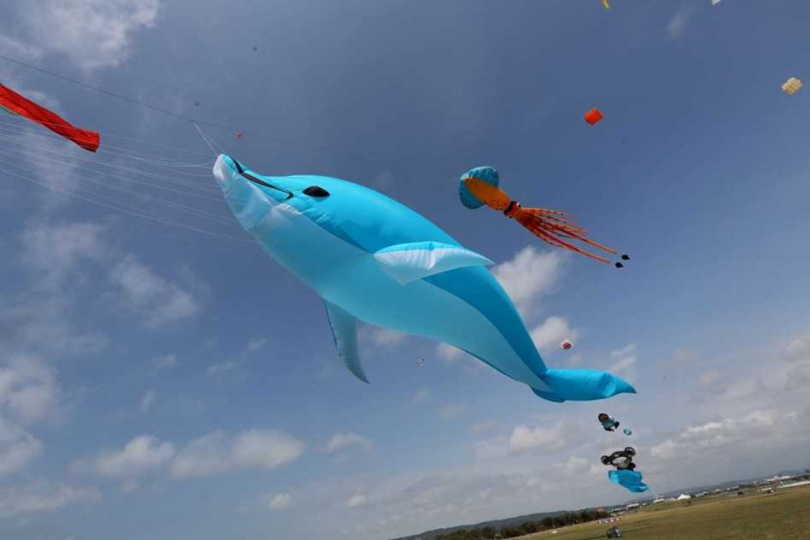 15米海豚風箏將會在空中飛揚，吸引民眾拍照。（圖／新竹市產發處提供）
