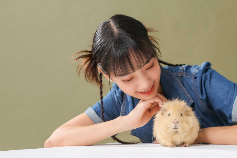 看到妹妹養的天竺鼠太可愛，艾庭被收服後也領養了鮑伯。（圖／林士傑攝）