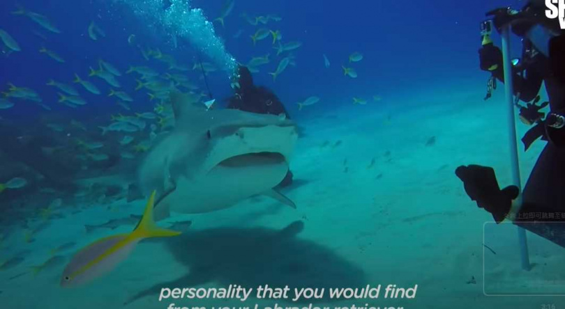 阿伯內西與艾瑪擁有20年的友情。（圖／翻攝自YouTube）