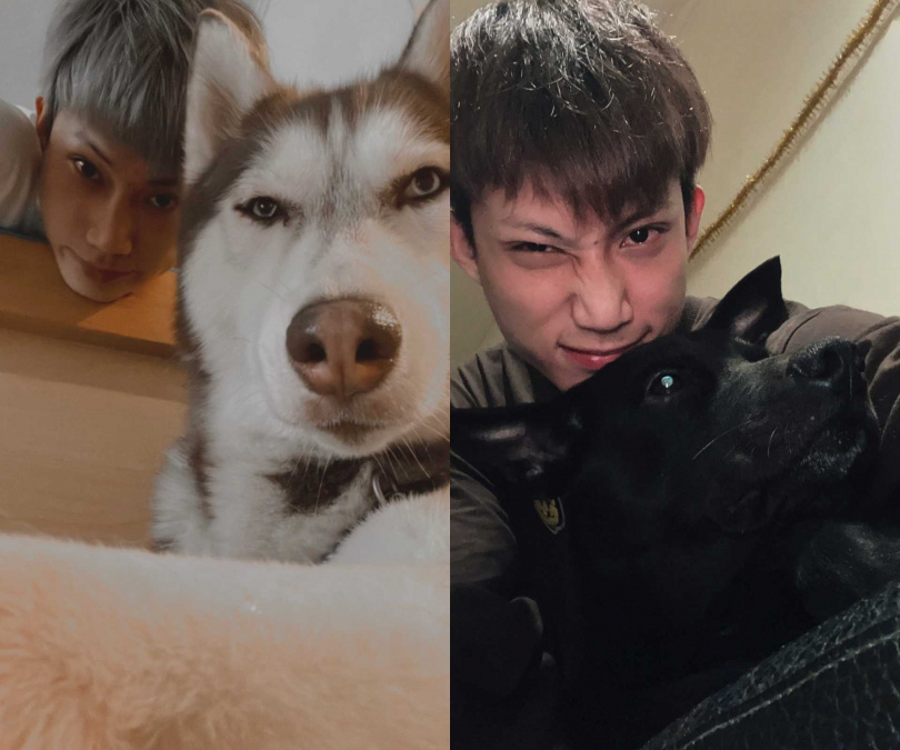 達浪跟薛海把廁所門啃到剩一半，讓唐立杰哭笑不得。（圖／唐立杰提供）