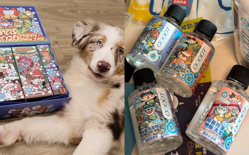 （圖／品牌提供）