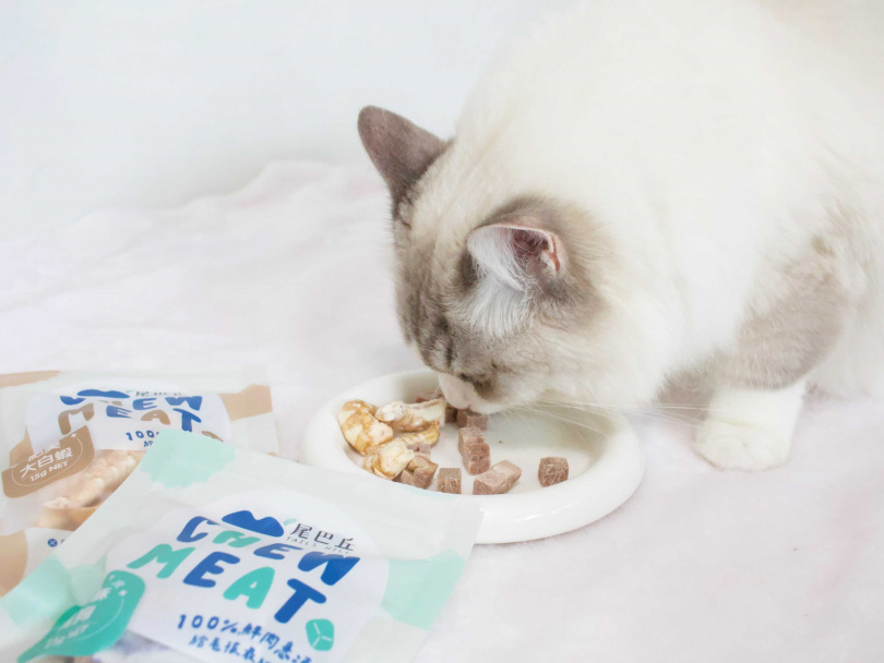 尾巴丘「肥美大白蝦」原肉凍乾,完整封存新鮮白蝦仁的營養與鮮甜,讓最挑嘴的貓咪也無法抗拒。(圖/尾巴丘毛孩選物)