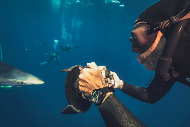 大膽無畏的深海潛水員兼攝影師Fred Buyle，佩戴ULYSSE NARDIN「Diver Lemon Shark」檸檬鯊潛水錶，憑藉高超的水下技巧，對鯊魚進行生物標記。（圖╱ULYSSE NARDIN提供）