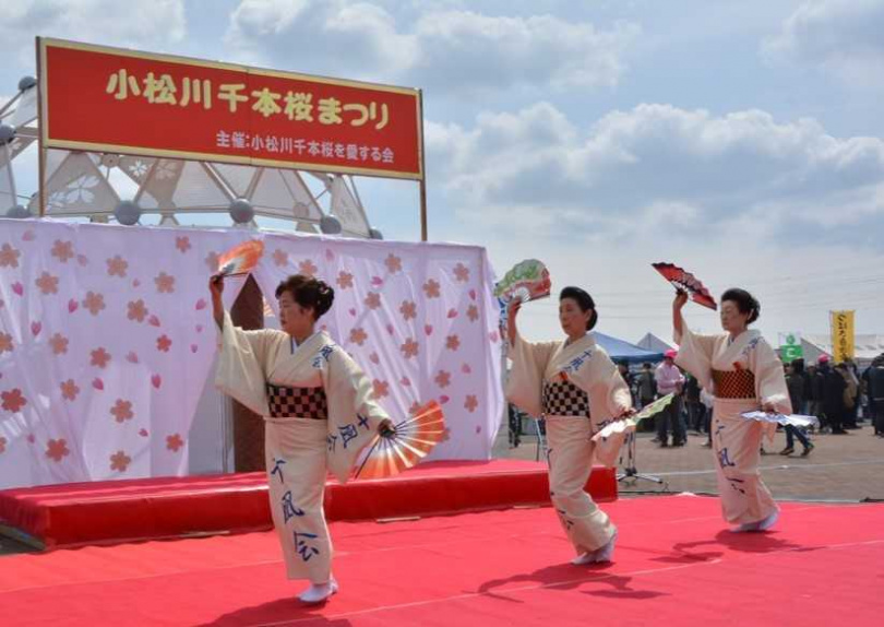 「小松川千本櫻祭」活動，邀請當地團體表演，期以讓更多人知道這處賞花好去處。