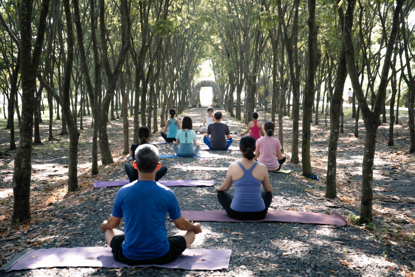 透過森林瑜珈更加了解身體，達到身心靈平衡。
