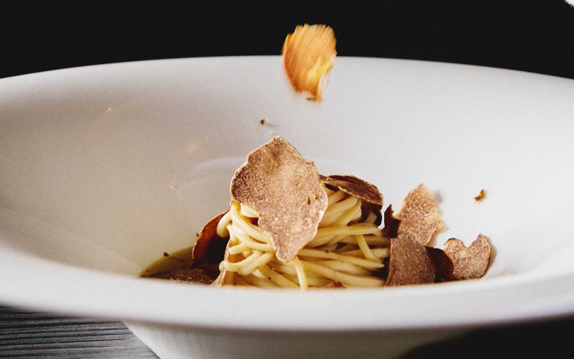 來自義大利皮埃蒙特地區的阿爾巴白松露，被譽為「餐桌上的鑽石」。（圖／三二行館提供）