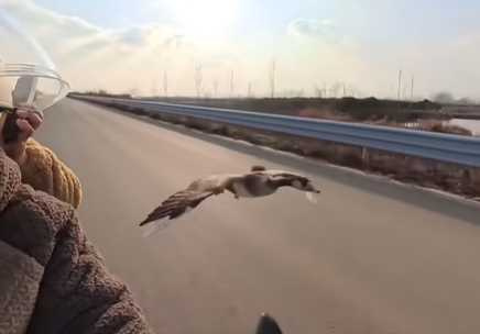 男子遛鵝網友全驚呆。（圖／翻攝自臉書）