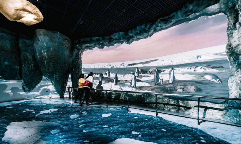2023年海生館更將活動升級為「迷你解說員親子營」，並首度延伸到寒假期間。
