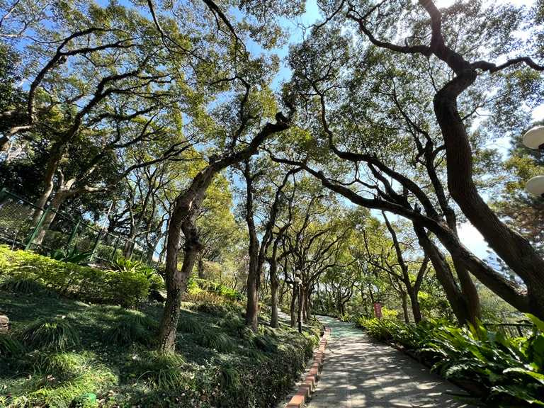 園區內14萬株喬灌木與各式植栽交織而成的林蔭步道，是享受森林浴的好去處。