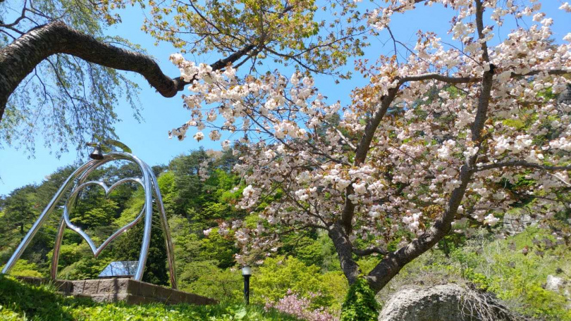 君待坂公園」內春季的櫻花與杜鵑還有秋季的紅葉美景廣為人知。