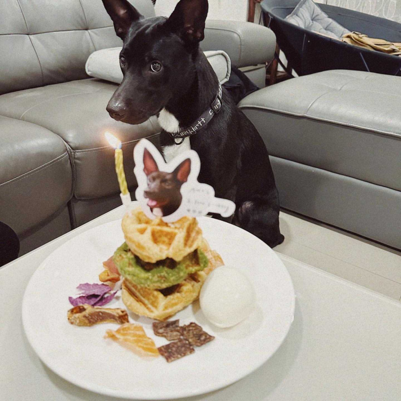 （圖／品牌提供）