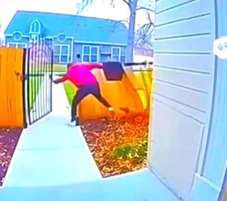 郵差、速遞人員遇狗時逃跑大合輯。(圖/翻攝自臉書)