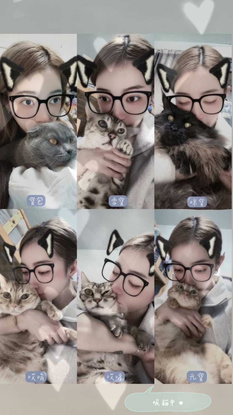 飄哥先後救援並收養了寶包、雪寶、咪寶、哎唷、哎呀、元寶，共6隻貓。（圖／JKF提供）