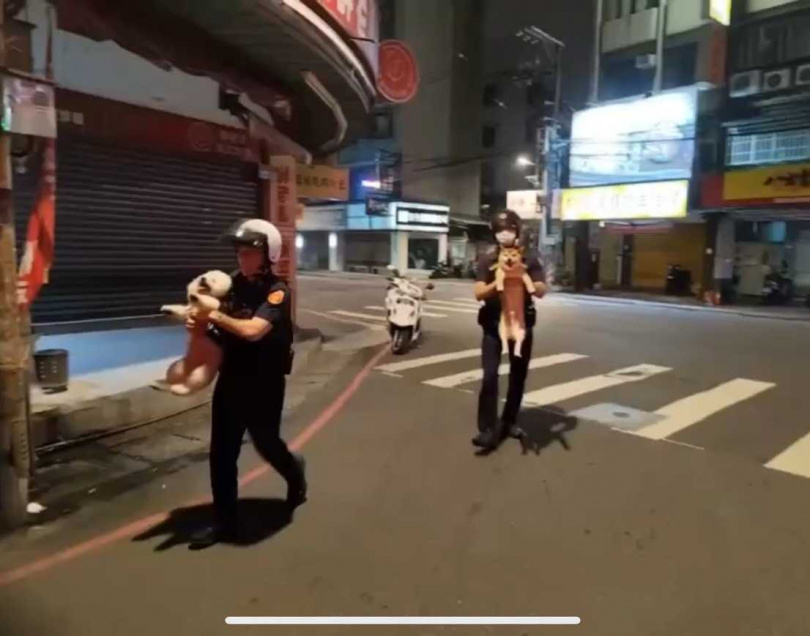 警方日前巡邏時遇上2隻翹家毛孩,立刻將牠們逮捕抱上警車。(圖/翻攝畫面)