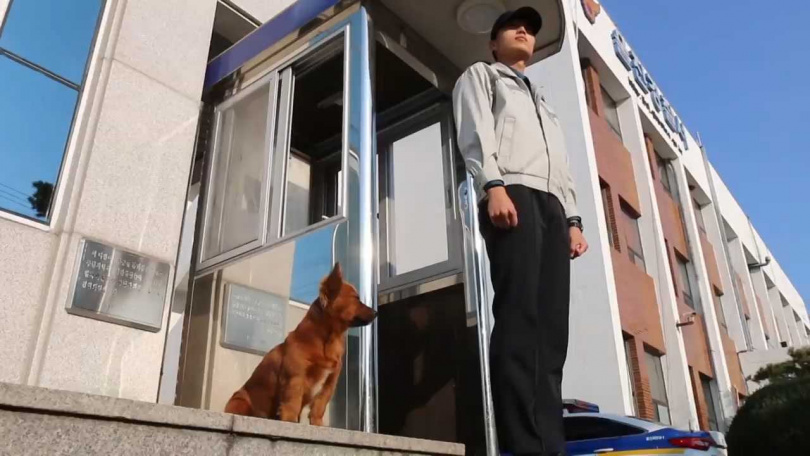 波松如今每天都會跟孩子在警局上班,陪伴員警站崗並守護當地居民。(圖/翻攝畫面)