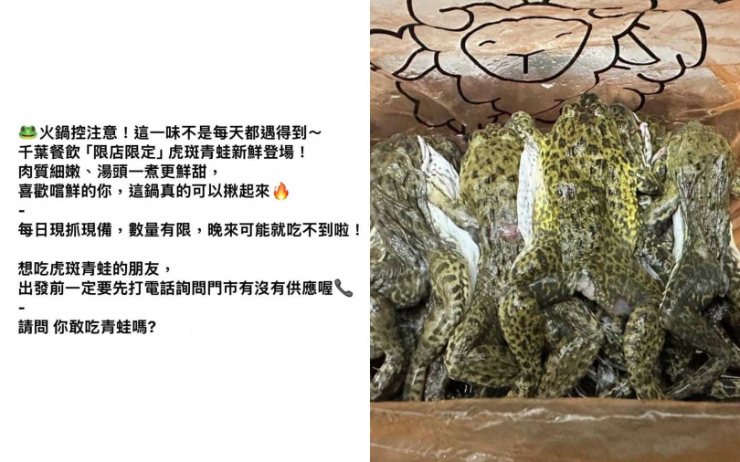 （圖／取自千葉火鍋粉專）