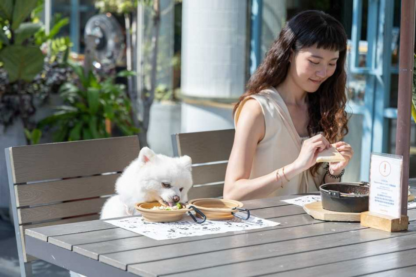 活動期間攜帶寵物至TOASTERiA CAFÉ、Molino餐廳用餐，毛孩可免費體驗SPUTNIK寵物摺疊碗與寵物拼接涼墊，飼主更可幫毛孩加購期間限定的寵物餐點。（圖／勤美集團提供）